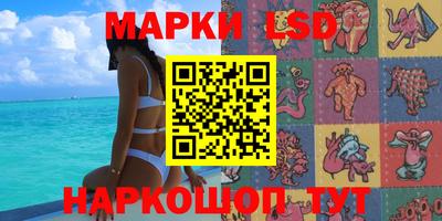 СК Кузнецк