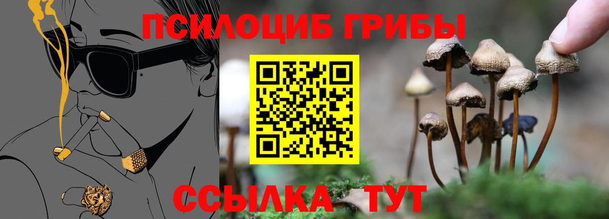 Галлюциногенные грибы ЛСД  Галлюциногенные грибы Psilocybine cubensis  Вход с VPN  продажа наркотиков  Всеволожск 